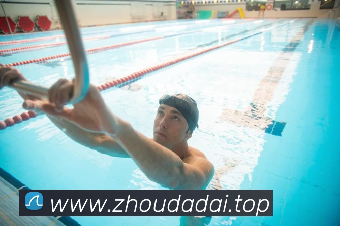 米兰app体育登录入口平台生态图