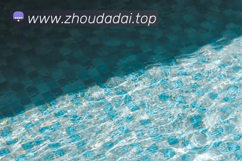 米兰app体育登录入口APP 封面图